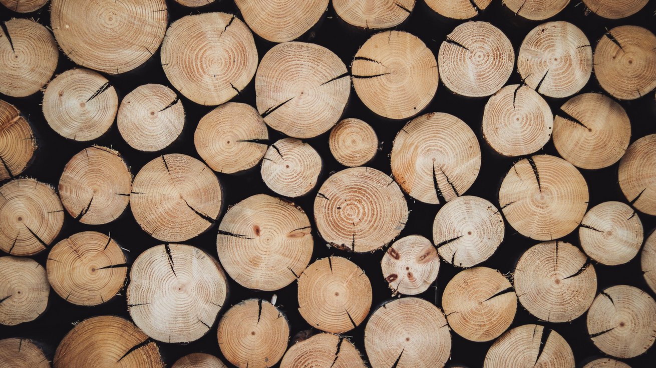 Vorteile Holzbau Baessler